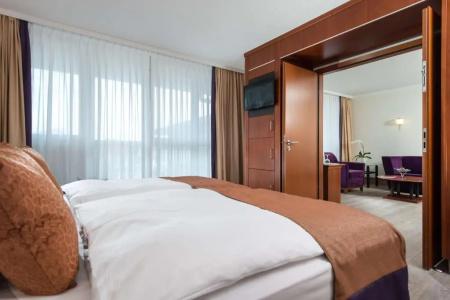 Radisson Blu Park & Conference Centre - 92