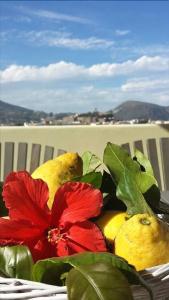b&b Il Cappero - 10