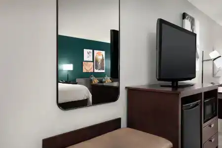 Holiday Inn & Suites Downtown, an IHG - 79