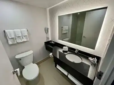 Comfort Inn & Conference Centre Airport - 8