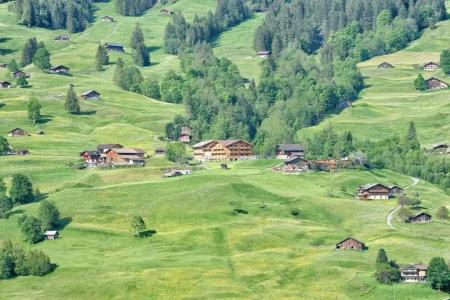 Aspen Alpine Lifestyle - 65