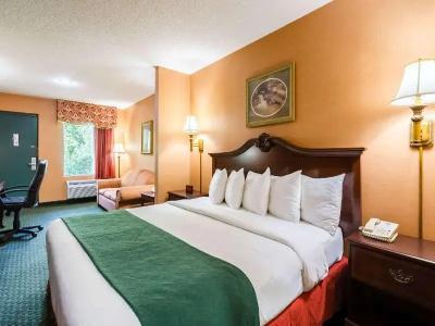 Quality Inn South - 81