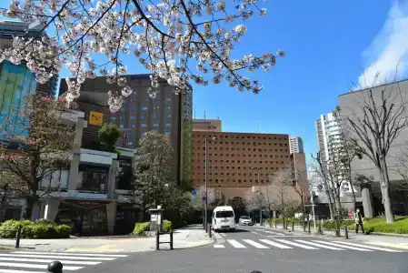 Metropolitan Edmont Tokyo - 34