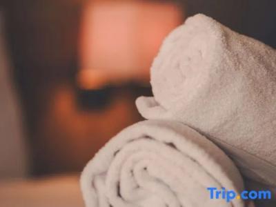 Mercure Annecy Sud - 76