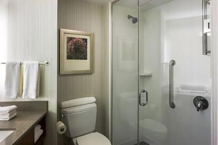 Hilton Garden Inn Long Island City - 42