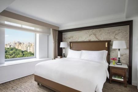 The Ritz-Carlton New York, Central Park - 41