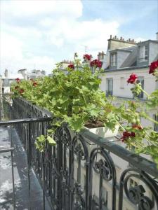Hôtel Vendome Saint-Germain - 9