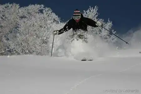 The Green Leaf, Niseko Village - 15