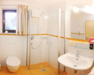 Landhaus Pension Traunbachhäusl - 28