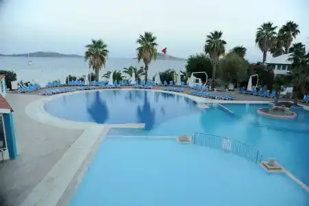 Club Muskebi - 13