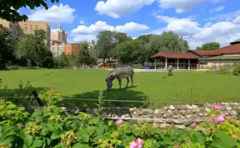 СеверСити гостиница - 37