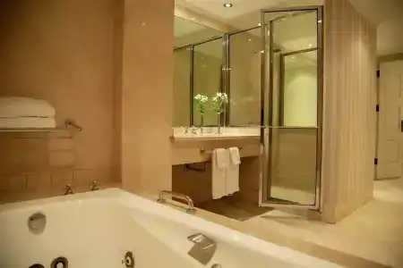 Intercontinental Buenos Aires, An Ihg - 115