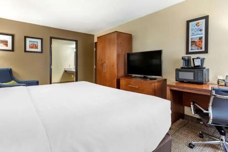 Comfort Inn & Suites Downtown - 42