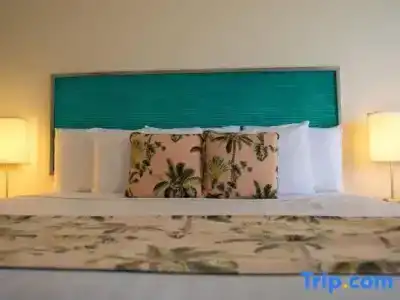 Aqua Palms Waikiki - 44