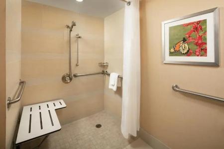 Holiday Inn Austin -Town Lake, An Ihg - 59