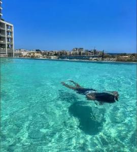 Grands Suites Residences & SPA - 32