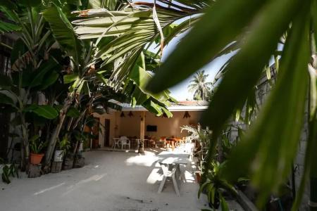 Lilac Stay Rasdhoo - 25