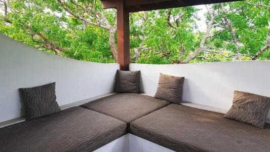 Little Tamarind - 110