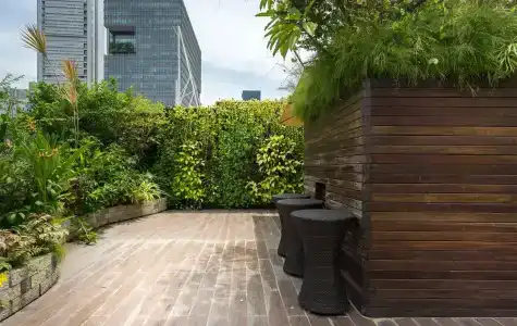 Clover The Arts (Sg Clean) - 12