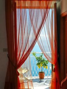 Holiday - 150