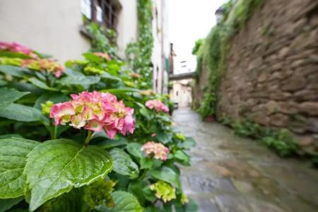 B&B Suite San Michele - 11