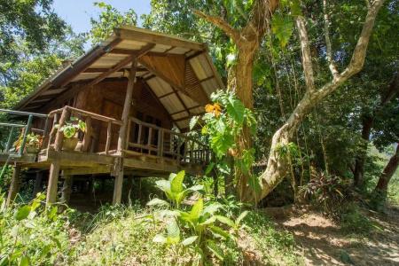 Khaosok Riverside Cottages - 41