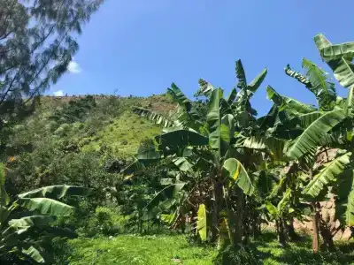 Mirella Villa - 19