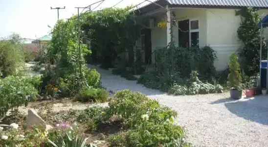 Бумеранг - 2