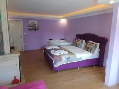 Alesta Butik Otel - 59