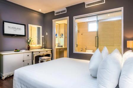 Silverland Jolie - 13