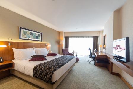 Crowne Plaza Istanbul Harbiye, an IHG - 7