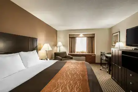 Comfort Inn Portland - 2