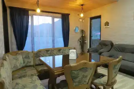 Bibos kokhi - 2