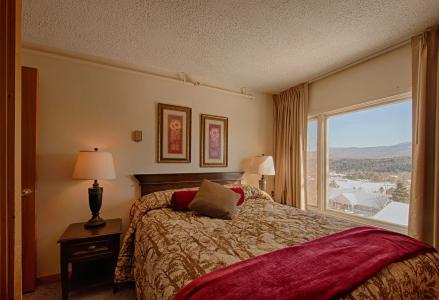 Sun & Ski Inn and Suites - 2