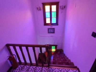 Tas Bahce Cunda - 8