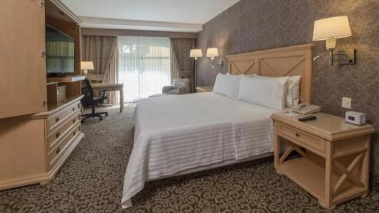 Holiday Inn Queretaro Centro Historico, An Ihg - 62