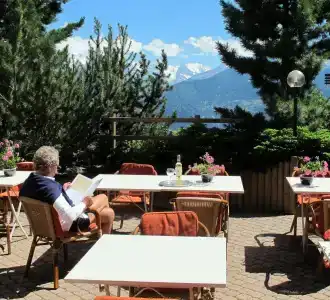 Hôtel de la Forêt - 14