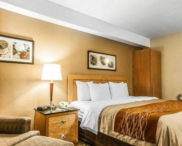 Comfort Inn - 6