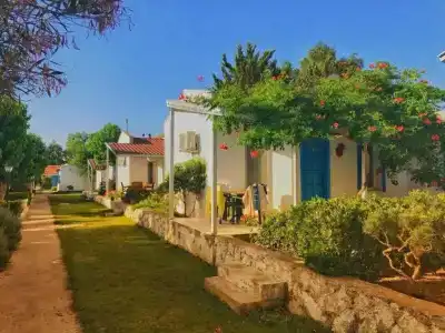 Teos Ormanci Tatil Koyu - 34