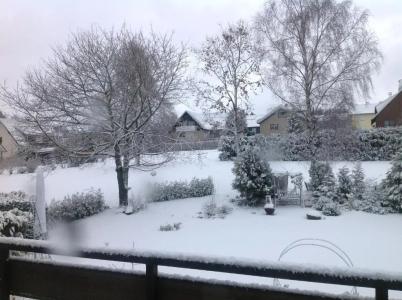 Pension Robin Hood - 42