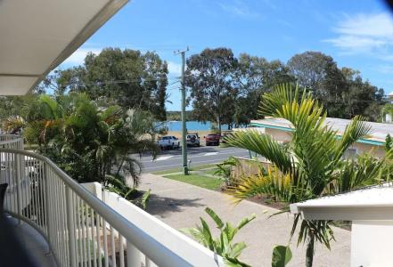 Noosa River Palms - 62
