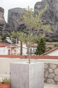 Oikia guesthouse - 6