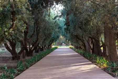 The Oberoi Marrakech - 45