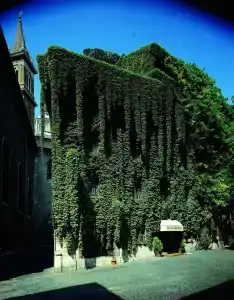 Bio Raphael - Relais & Châteaux - 10