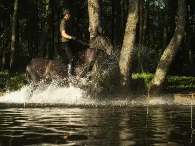 Warmia Park - 1