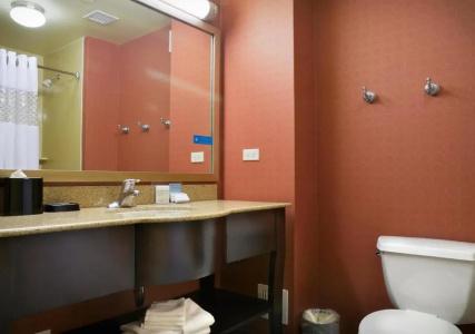 Hampton Inn Majestic Chicago Theatre District - 8