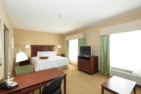 Hampton Inn & Suites I-20 - 45