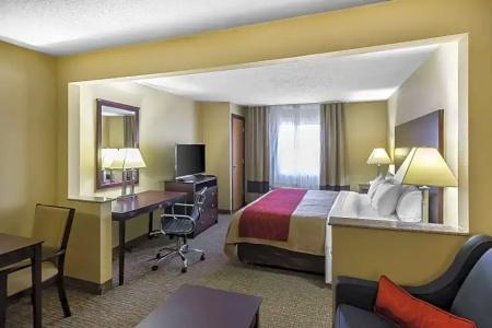 Comfort Inn & Suites - 58