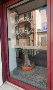 mediterraneo - 0