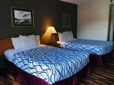 Bear Mount Inn & Suites - 29